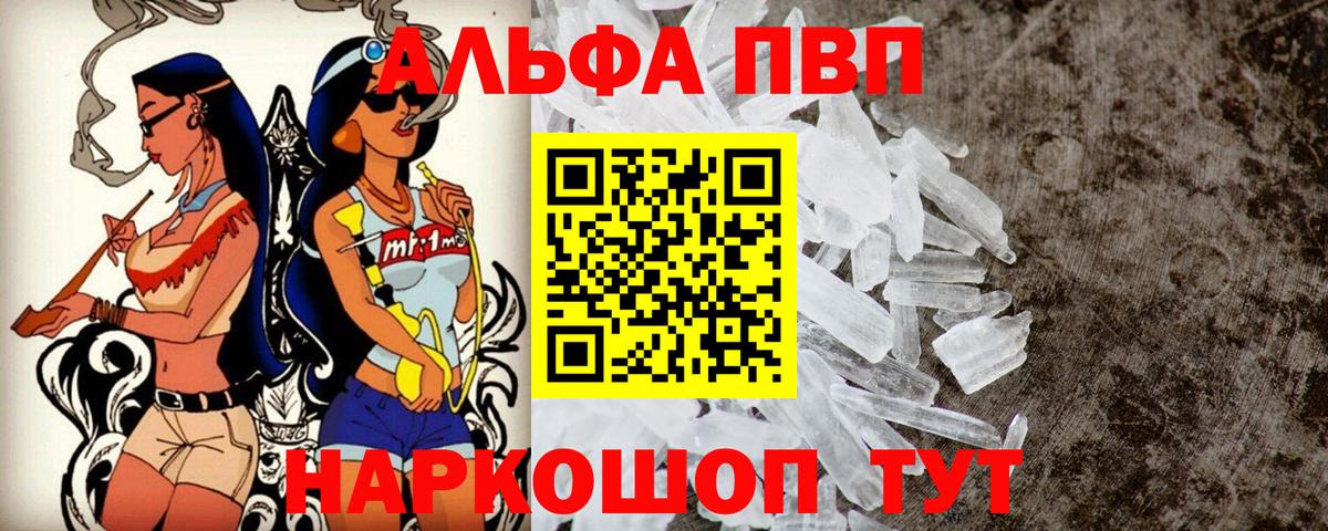 Alfa_PVP СК КРИС Гагарин