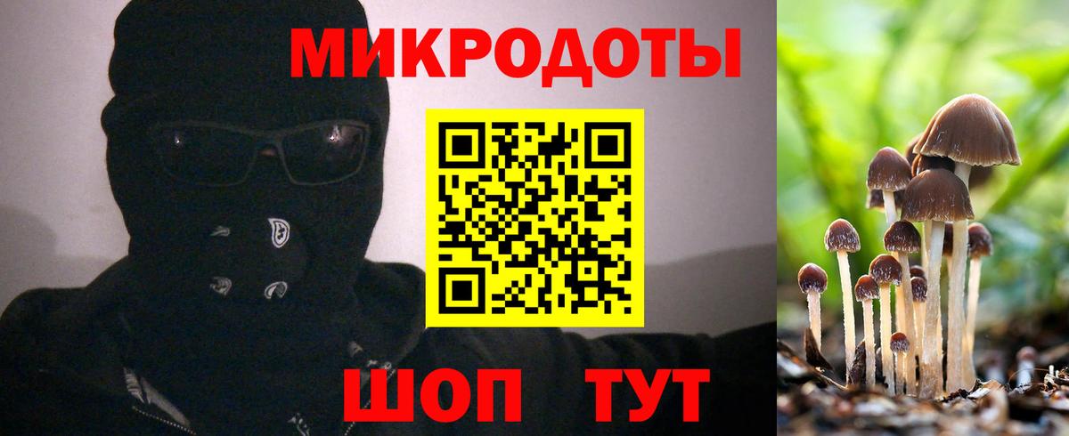Галлюциногенные грибы Psilocybe  Вход с VPN  Гагарин 